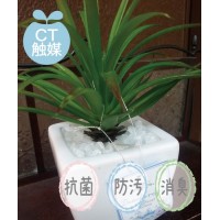【CT触媒】【フェイクグリーン】アーティフィシャルグリーン（L)　Bタイプ【フェイクグリーン】