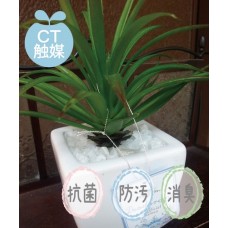 【CT触媒】【フェイクグリーン】アーティフィシャルグリーン（L)　Bタイプ【フェイクグリーン】